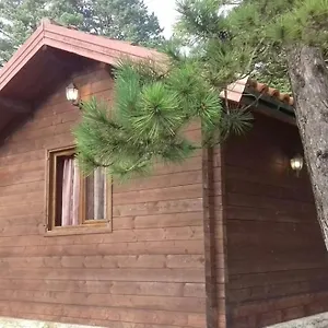 https://iliria-tiny-house-llogora.albaniahotels.org
